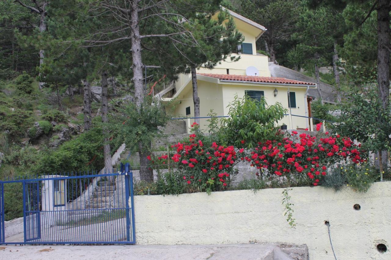 Apartman Eagle's Nest *